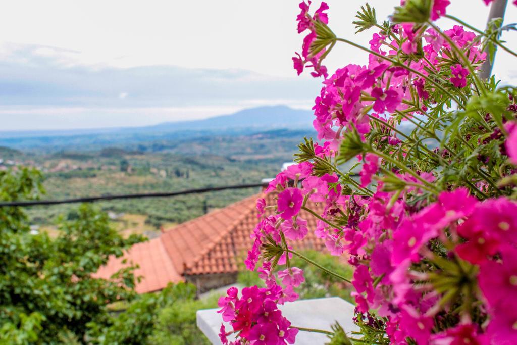 Guesthouse Lykourgos Mavrommation ภายนอก รูปภาพ